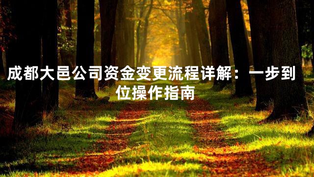 成都大邑公司资金变更流程详解：一步到位操作指南