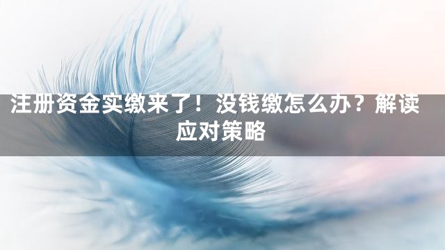 注册资金实缴来了！没钱缴怎么办？解读应对策略