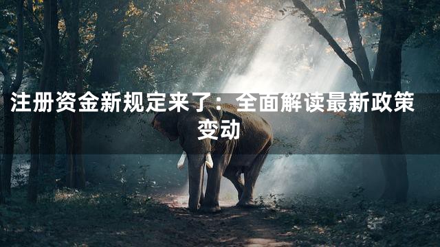 注册资金新规定来了：全面解读最新政策变动