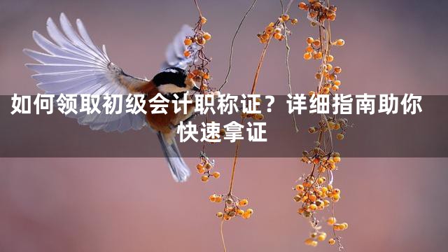 如何领取初级会计职称证？详细指南助你快速拿证