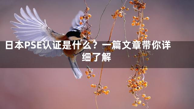 日本PSE认证是什么？一篇文章带你详细了解
