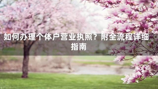 如何办理个体户营业执照？附全流程详细指南