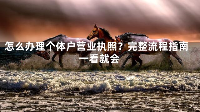 怎么办理个体户营业执照？完整流程指南一看就会
