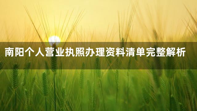 南阳个人营业执照办理资料清单完整解析