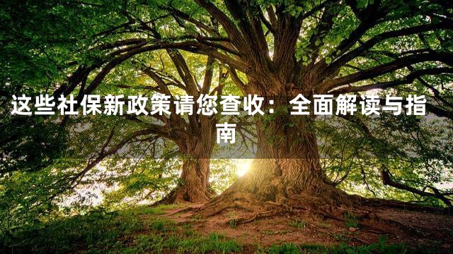 这些社保新政策请您查收：全面解读与指南