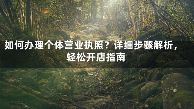 如何办理个体营业执照？详细步骤解析，轻松开店指南