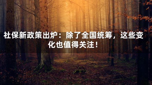社保新政策出炉：除了全国统筹，这些变化也值得关注！
