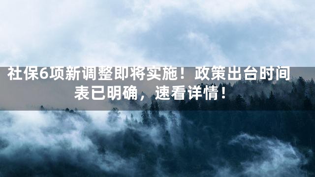 社保6项新调整即将实施！政策出台时间表已明确，速看详情！