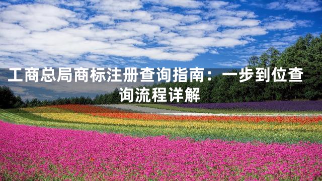 工商总局商标注册查询指南：一步到位查询流程详解