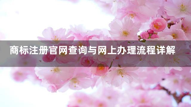 商标注册官网查询与网上办理流程详解