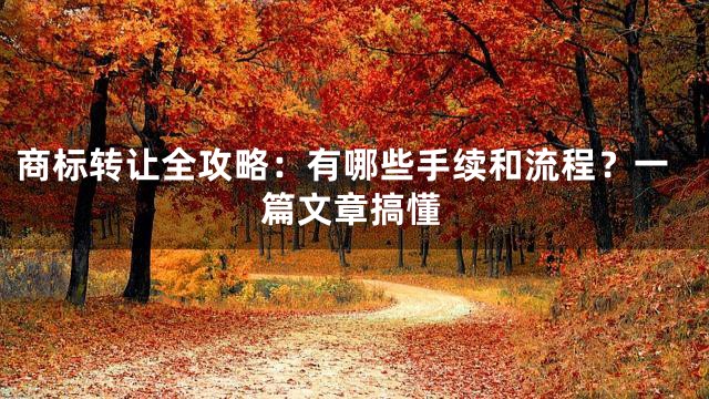 商标转让全攻略：有哪些手续和流程？一篇文章搞懂