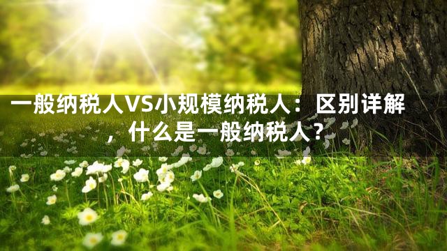一般纳税人VS小规模纳税人：区别详解，什么是一般纳税人？