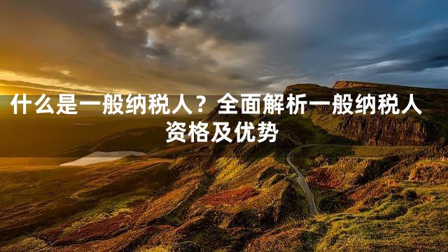 什么是一般纳税人？全面解析一般纳税人资格及优势