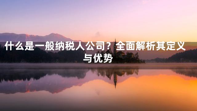 什么是一般纳税人公司？全面解析其定义与优势