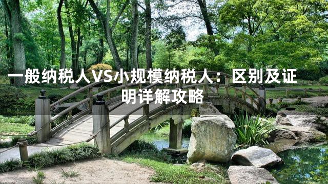 一般纳税人VS小规模纳税人：区别及证明详解攻略