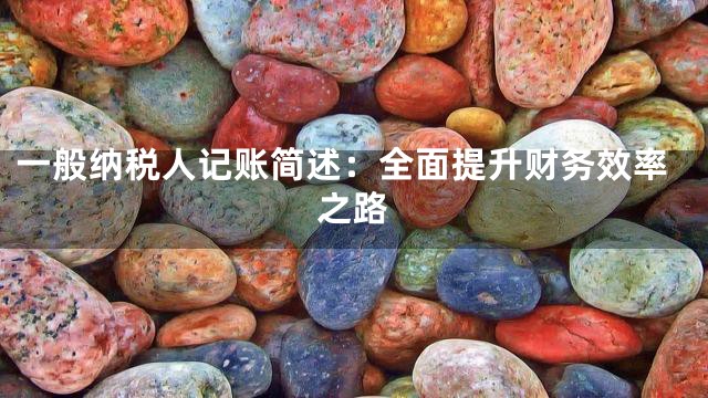 一般纳税人记账简述：全面提升财务效率之路