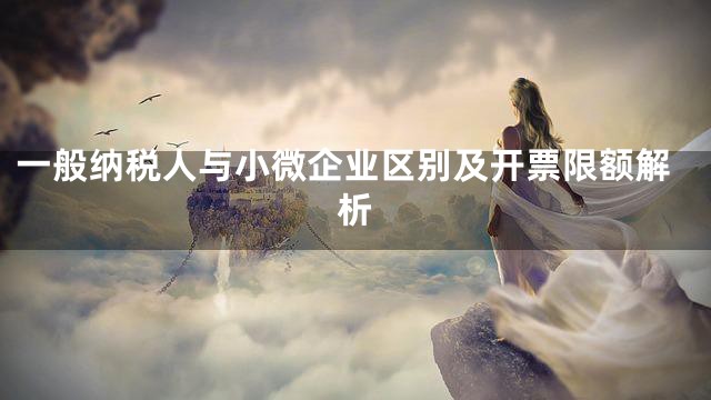 一般纳税人与小微企业区别及开票限额解析