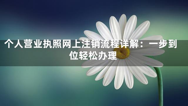 个人营业执照网上注销流程详解：一步到位轻松办理