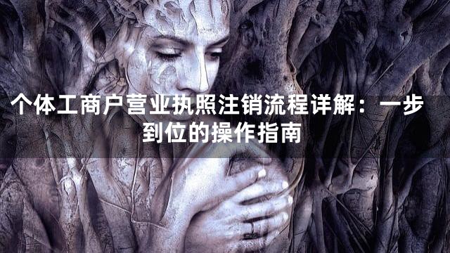 个体工商户营业执照注销流程详解：一步到位的操作指南