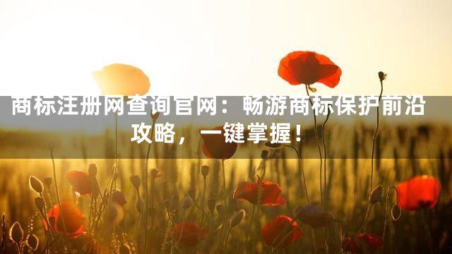 商标注册网查询官网：畅游商标保护前沿攻略，一键掌握！
