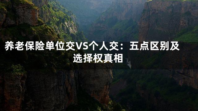 养老保险单位交VS个人交：五点区别及选择权真相