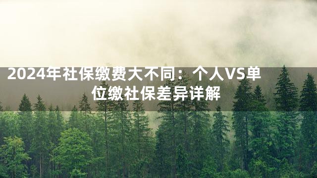 2024年社保缴费大不同：个人VS单位缴社保差异详解