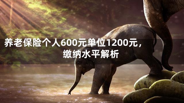 养老保险个人600元单位1200元，缴纳水平解析