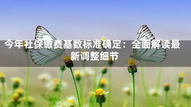 今年社保缴费基数标准确定：全面解读最新调整细节