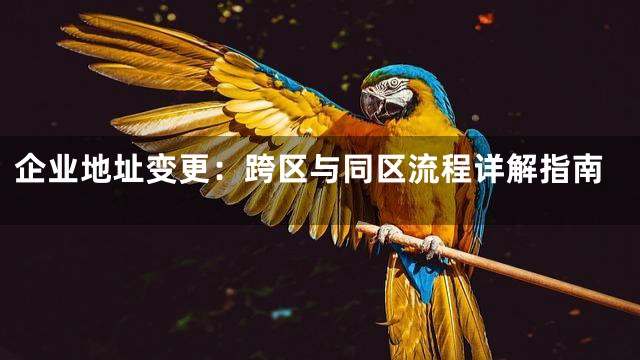 企业地址变更：跨区与同区流程详解指南