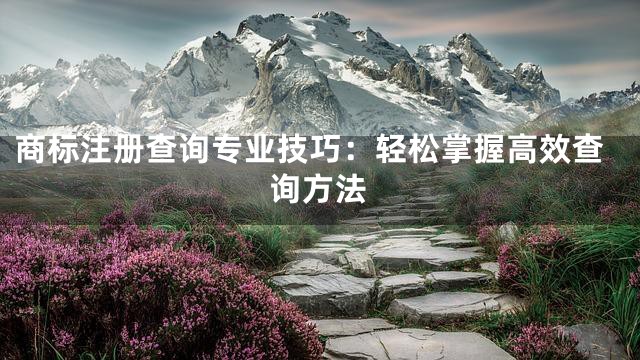 商标注册查询专业技巧：轻松掌握高效查询方法
