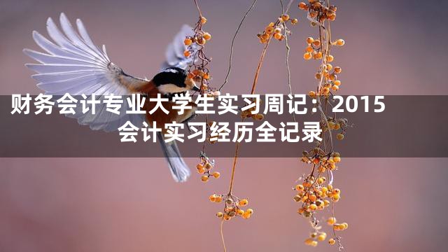 财务会计专业大学生实习周记：2015会计实习经历全记录