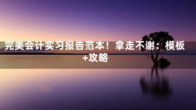 完美会计实习报告范本！拿走不谢：模板+攻略