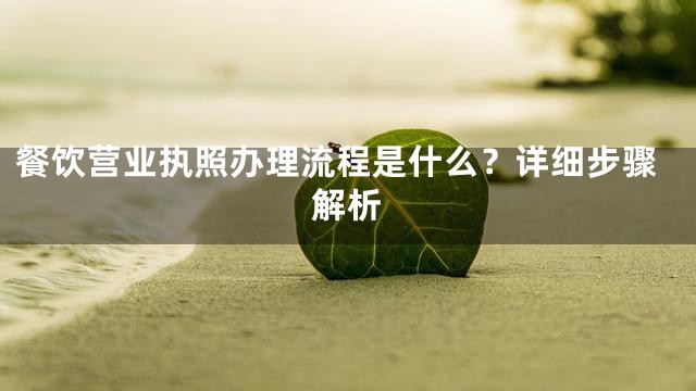 餐饮营业执照办理流程是什么？详细步骤解析