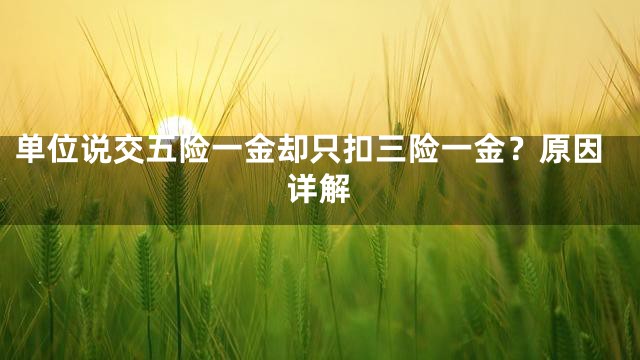 单位说交五险一金却只扣三险一金？原因详解