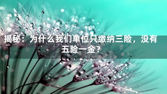 揭秘：为什么我们单位只缴纳三险，没有五险一金？