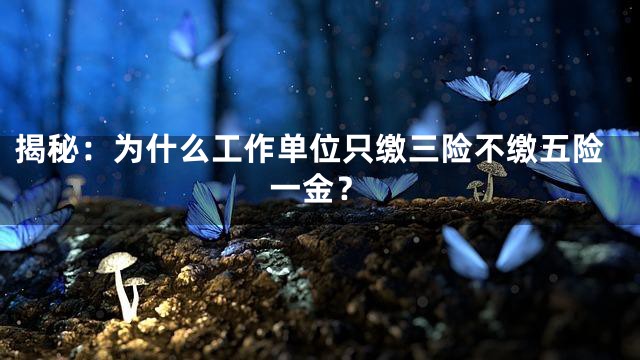 揭秘：为什么工作单位只缴三险不缴五险一金？