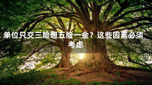 单位只交三险想五险一金？这些因素必须考虑