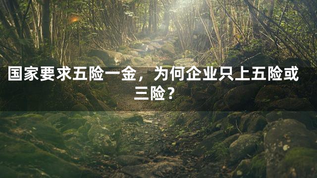 国家要求五险一金，为何企业只上五险或三险？