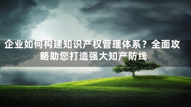 企业如何构建知识产权管理体系？全面攻略助您打造强大知产防线