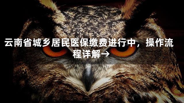 云南省城乡居民医保缴费进行中，操作流程详解→