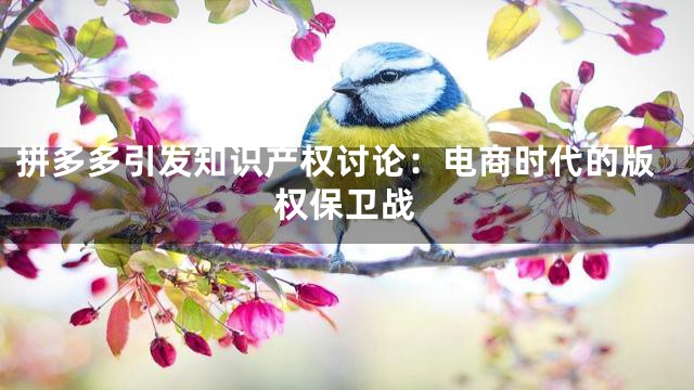 拼多多引发知识产权讨论：电商时代的版权保卫战