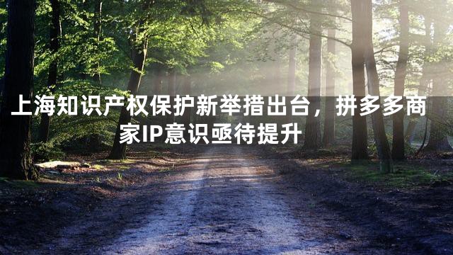 上海知识产权保护新举措出台，拼多多商家IP意识亟待提升