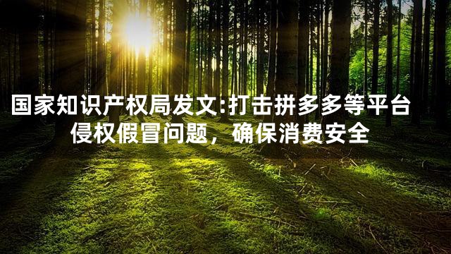 国家知识产权局发文:打击拼多多等平台侵权假冒问题，确保消费安全