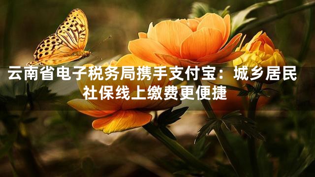 云南省电子税务局携手支付宝：城乡居民社保线上缴费更便捷
