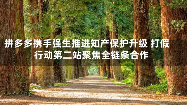 拼多多携手强生推进知产保护升级 打假行动第二站聚焦全链条合作