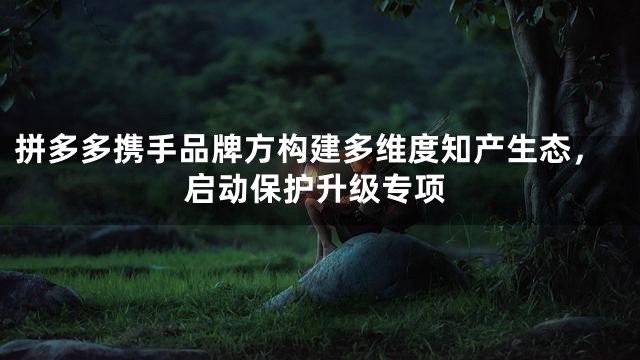 拼多多携手品牌方构建多维度知产生态，启动保护升级专项