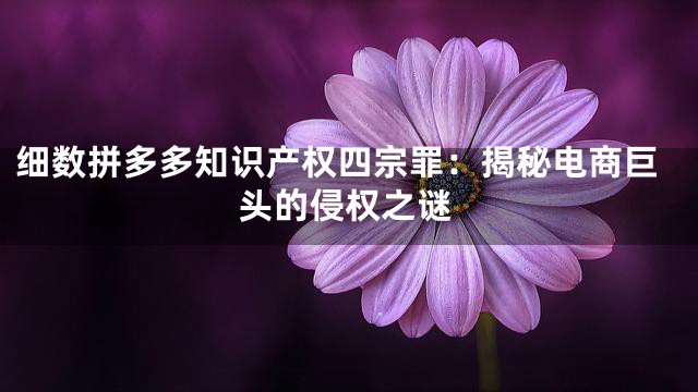 细数拼多多知识产权四宗罪：揭秘电商巨头的侵权之谜
