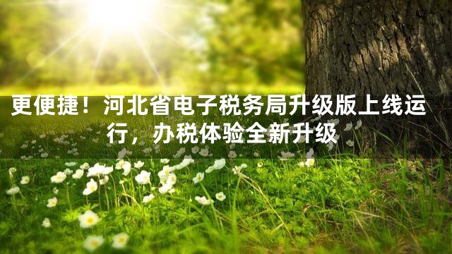 更便捷！河北省电子税务局升级版上线运行，办税体验全新升级