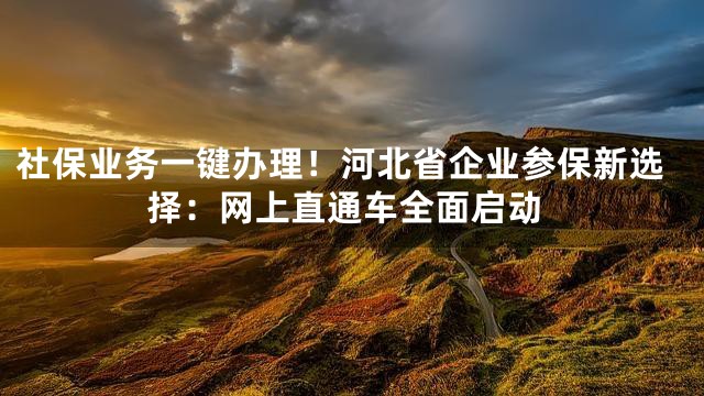 社保业务一键办理！河北省企业参保新选择：网上直通车全面启动