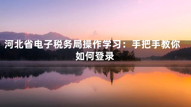 河北省电子税务局操作学习：手把手教你如何登录